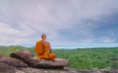 La parabole de la ceinture noire